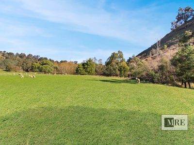 Lot 38, Sawpit Gully Road, Bridge Creek