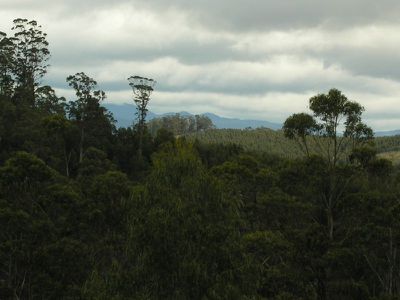 Lot 2, Cradoc Hill Road, Cygnet