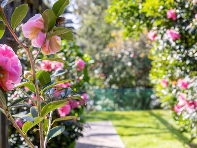 256 Mill Road, Otaki