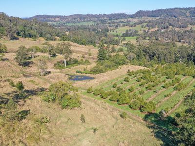1740  Nimbin Road, Koonorigan