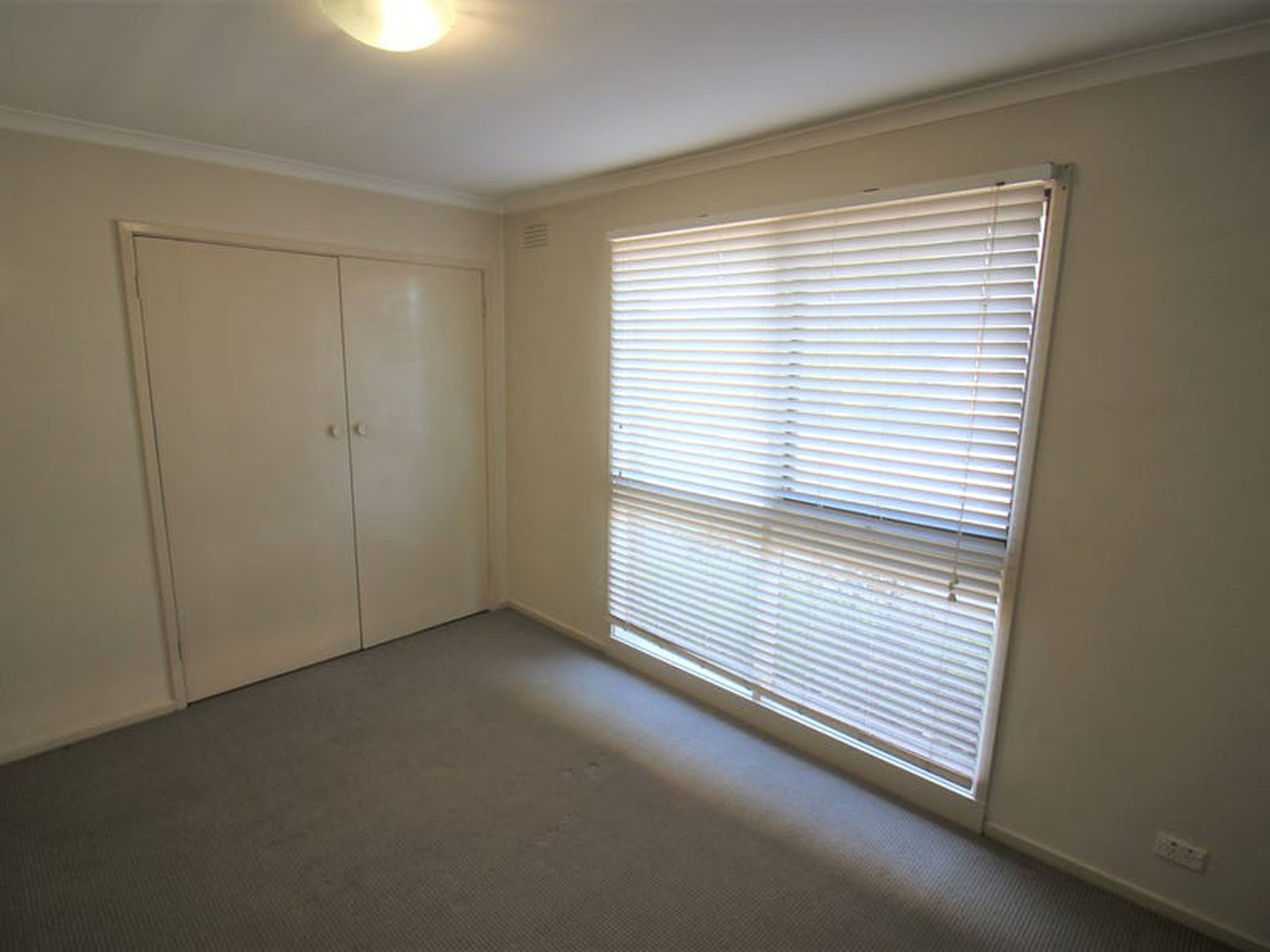 2 / 1 Holyrood Avenue, Newtown