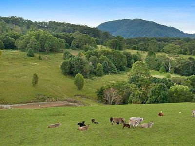 94 Hutchinson Road, Nimbin