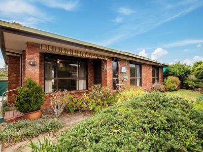 8 Hanley Cres, Seymour