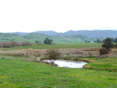1433 Yackandandah Road, Dederang