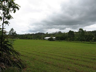 Malanda
