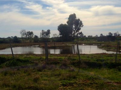 Lot 1 Windy Corner Riverina Highway, Deniliquin