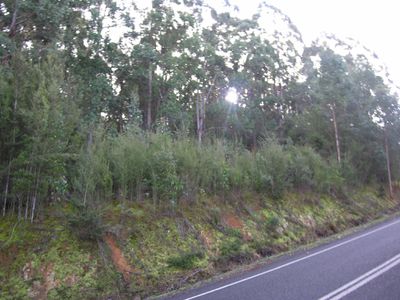 lot 1 Huon Highway, Southport