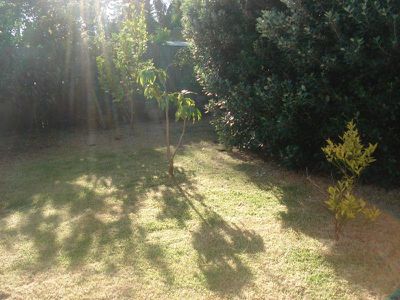 116 Moorefields Road, Kingsgrove