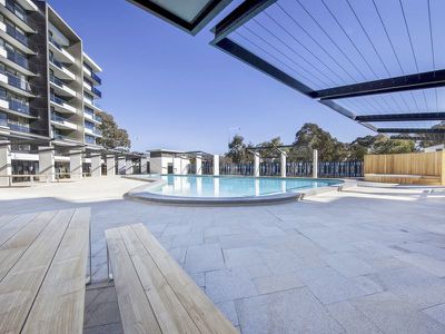 291 / 7 Irving Street, Phillip