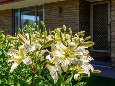 22 Oak Street, Huonville