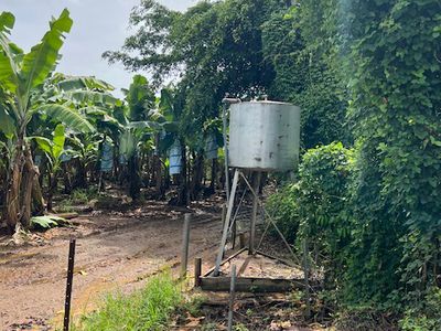 94 SOUTH JOHNSTONE ROAD, Boogan