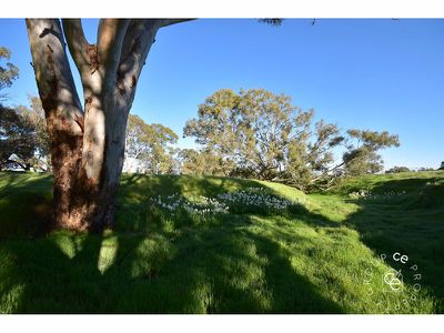 Lot 776 Hearls Road, Flaxman Valley