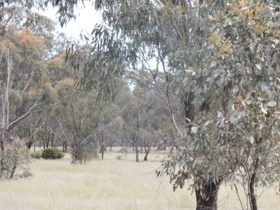 1 Abbott Road, Wedderburn Junction