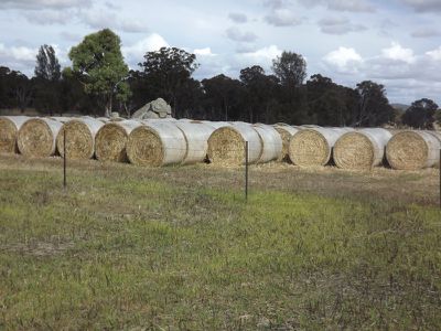 Glen Innes Road, Emmaville