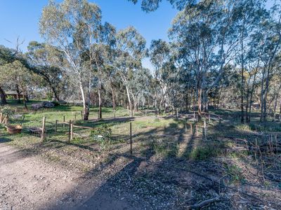 145 Kestel Road, Humbug Scrub