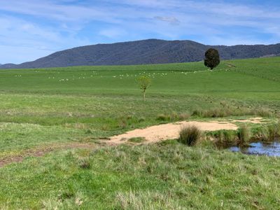 59 Hibberson Road, Tallangatta South