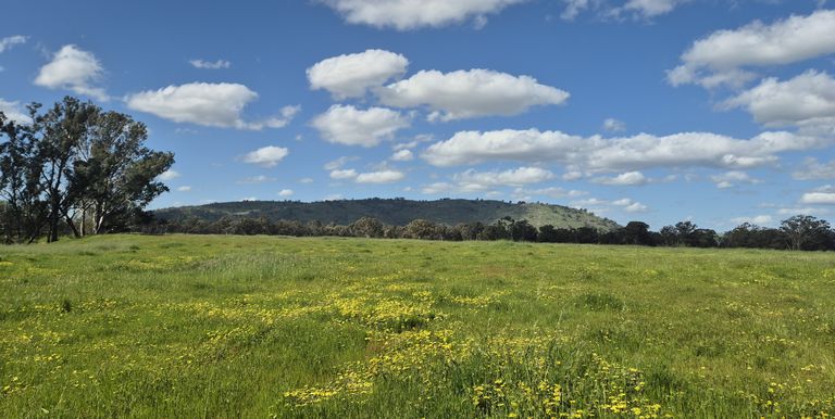 393 Mansfield Road, Euroa 393 Mansfield Road, Euroa