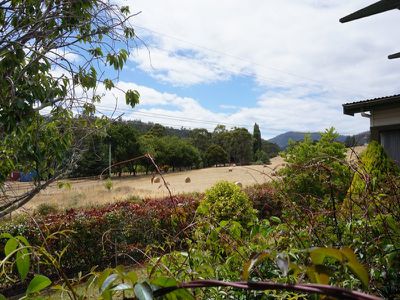 1101 Woodbridge Hill Road, Gardners Bay