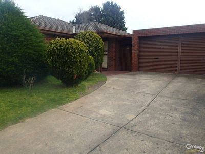 41 Clive Street, Hampton Park