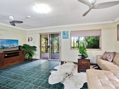 309 Diddillibah Road, Diddillibah