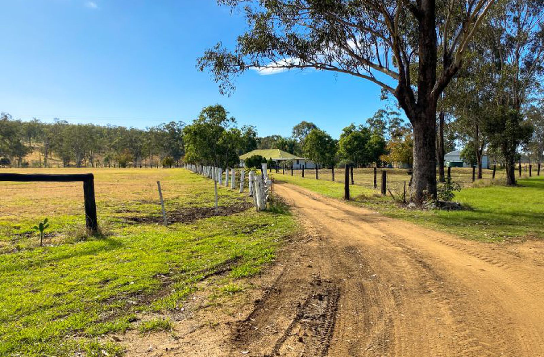 1171 BOOIE CRAWFORD ROAD, Kingaroy Aussie Land & Livestock