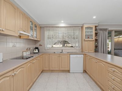 97 McCarthy Drive, Heathcote