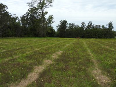 Lot 121 Stage 5 Beechwood Meadows, Beechwood