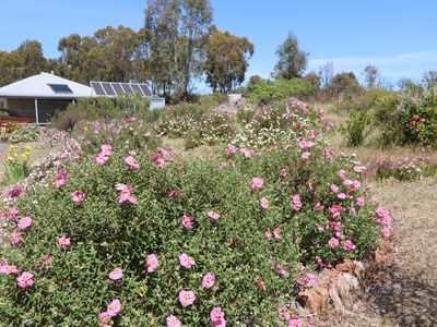 50 Pook Road, Redcastle