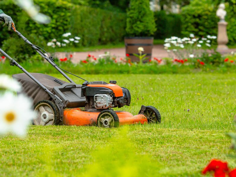 Garden Maintenance and Lawn Mowing Business for Sale