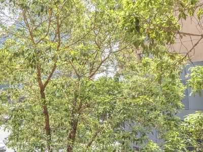 146 / 159 Day Street, Sydney