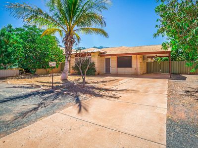 28 Spoonbill Crescent, South Hedland