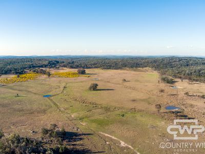 3889 Nullamanna Road, Wellingrove