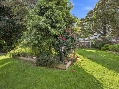 1 Geale Street, George Town