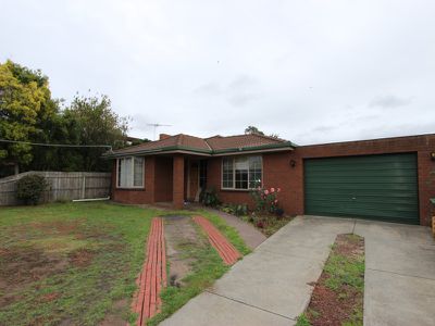 3 Thrums Court, Hamlyn Heights