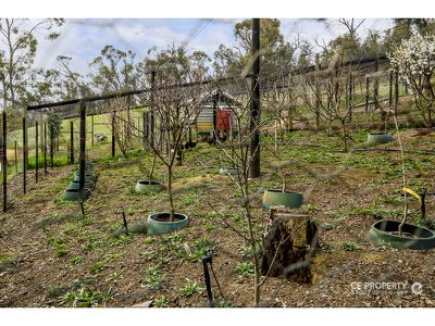 178 Kersbrook Forest Road, Kersbrook