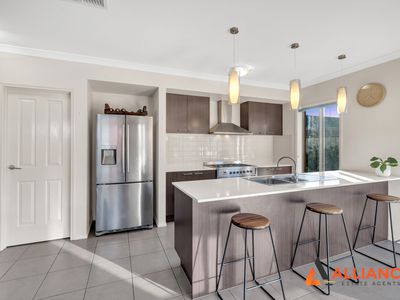 17 Reginato Court, Tarneit