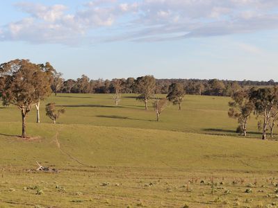 312 Bosworth Falls Road, O'connell
