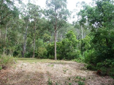 972 Mount Darragh Road, Lochiel