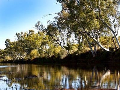 23 Gallop , Nullagine