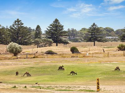 32 St Andrews Boulevard, Normanville