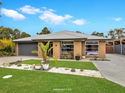 6 Redwood Court, Junction Village