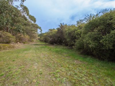 343 Dingo Flat Road, Hazelvale