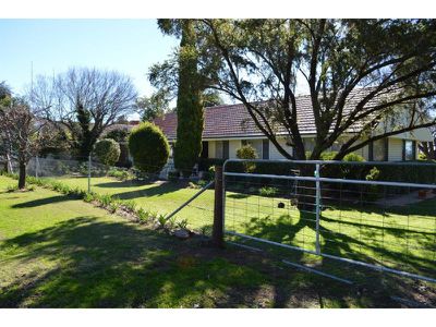 168 George Street, Gunnedah