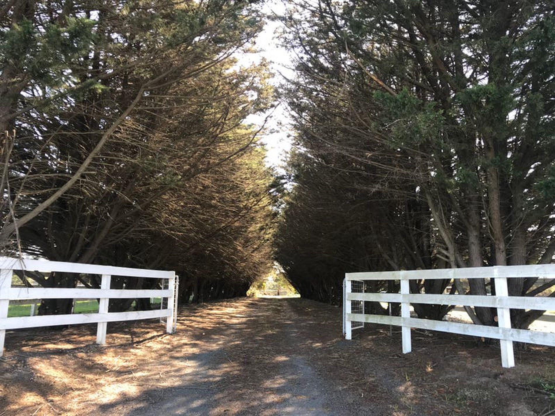 1140 Princes Highway, Moriac