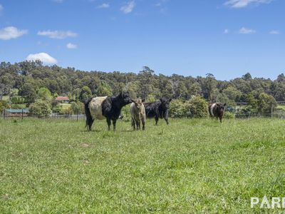 51 Loop Road, Glengarry