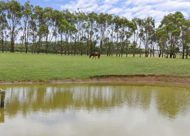 24 Tully Lane, Bolwarra
