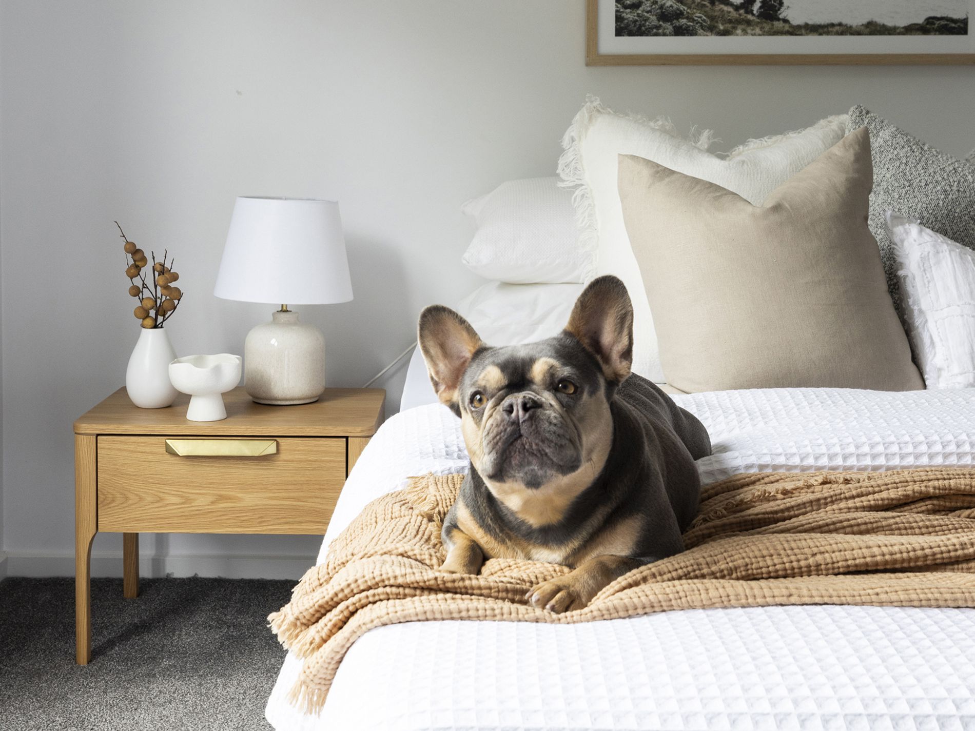 1 / 3 Mary Street, Spotswood