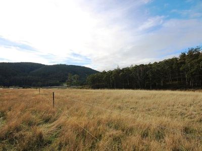 49 Acres Off Abbots Road, Nicholls Rivulet