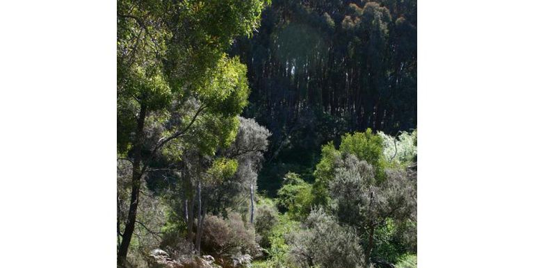 1621 Harrys Creek Road, Strathbogie