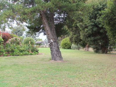 110 Cobwell Street, Barham